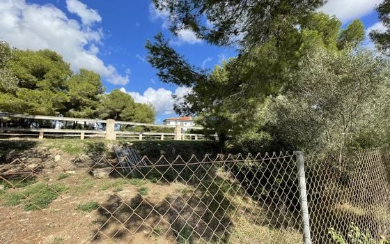  Grundstück in Xàbia- BES45416 - Foto - 3