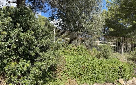  Grundstück in Xàbia- BES45416 - Foto - 5