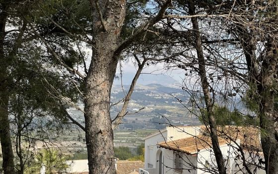 Parcela de  en Teulada- BES45422 - Foto - 3
