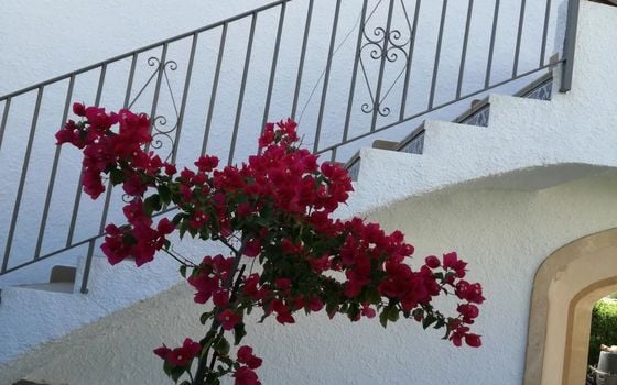 Villa de 6 chambres à Xàbia - BES45459 - Photo - Small - 17