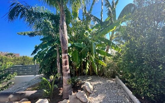 4 bedroom Villa in Javea - BES45500 - Photo - Small - 36