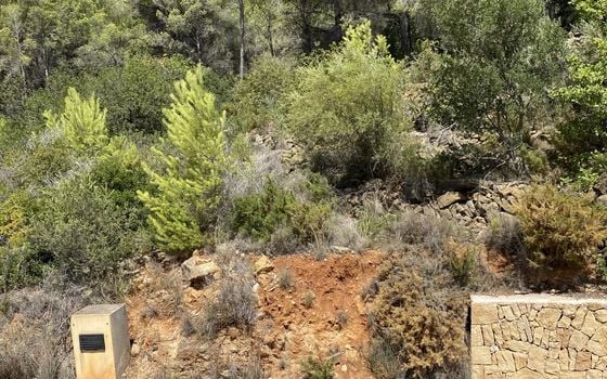  Grundstück in Xàbia- BES45506 - Foto - 4