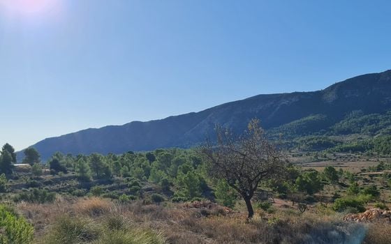 Parcela de  en La Romana- SIP155136 - Foto - 4