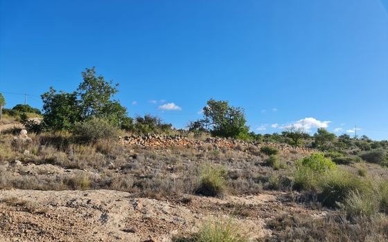 Parcela de  en La Romana- SIP155136 - Foto - Small - 6