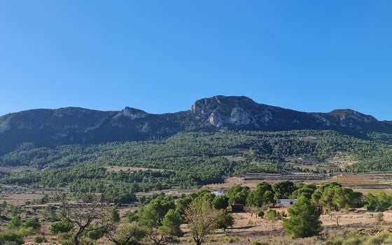 Parcela de  en La Romana- SIP155136 - Foto - 5