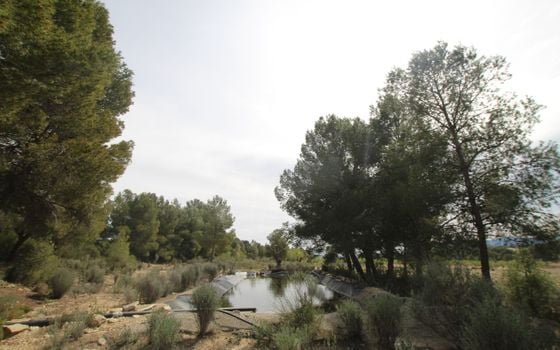 1 bedroom Villa in Monovar - SIP137483 - Photo - Small - 11