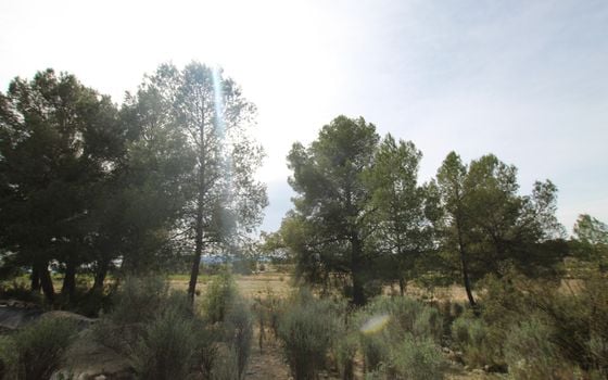1 bedroom Villa in Monovar - SIP137483 - Photo - Small - 12