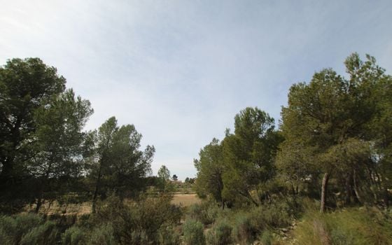 1 bedroom Villa in Monovar - SIP137483 - Photo - Small - 13