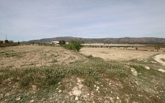 1 bedroom Villa in Monovar - SIP137483 - Photo - Small - 9