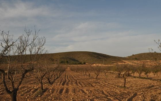  Pozemek v Abanilla- SIP81306 - Foto - 2