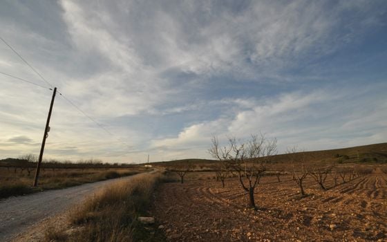  Pozemek v Abanilla- SIP81306 - Foto - Small - 6