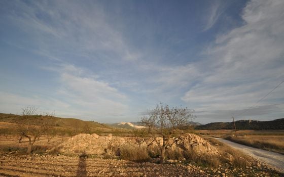  Pozemek v Abanilla- SIP81306 - Foto - 4