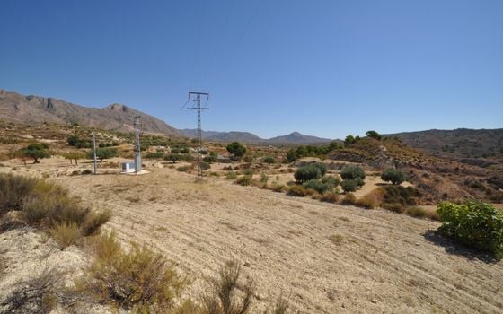 Parcela de  en Murcia- SIP148316 - Foto - Small - 6