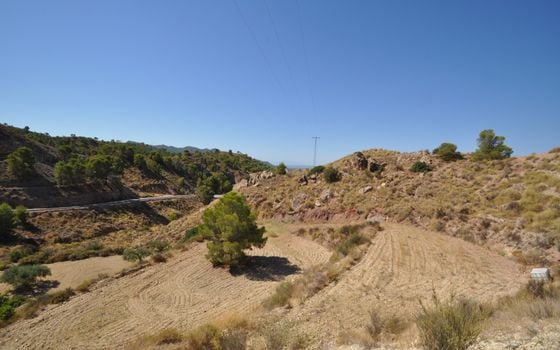 Parcela de  en Murcia- SIP148316 - Foto - Small - 7