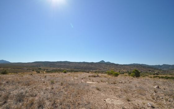 Terrain de  à Murcia- SIP150397 - Photo - Small - 19