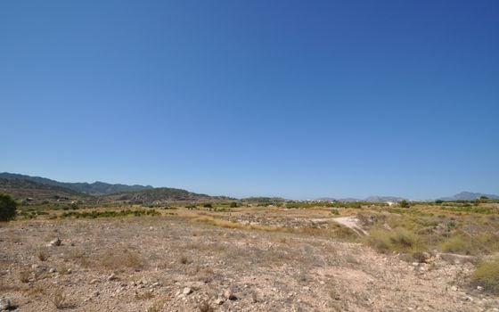 Terrain de  à Murcia- SIP150397 - Photo - Small - 18