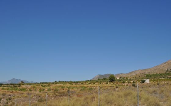 Terrain de  à Murcia- SIP150397 - Photo - Small - 11