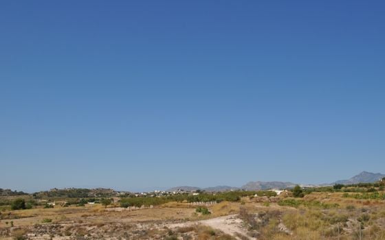 Terrain de  à Murcia- SIP150397 - Photo - Small - 12