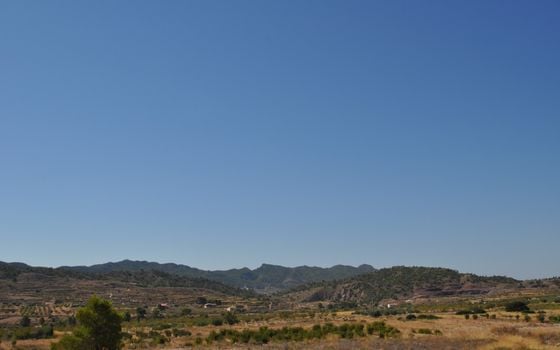 Terrain de  à Murcia- SIP150397 - Photo - Small - 13