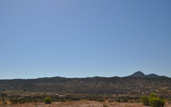 Terrain de  à Murcia- SIP150397 - Photo - Small - 14