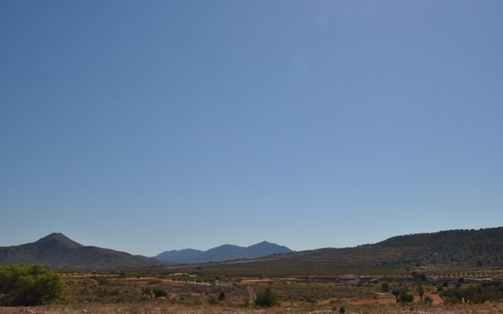 Terrain de  à Murcia- SIP150397 - Photo - Small - 15