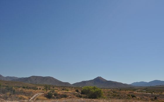 Terrain de  à Murcia- SIP150397 - Photo - Small - 16