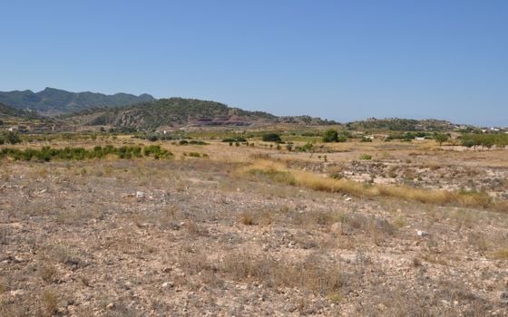 Terrain de  à Murcia- SIP150397 - Photo - Small - 7