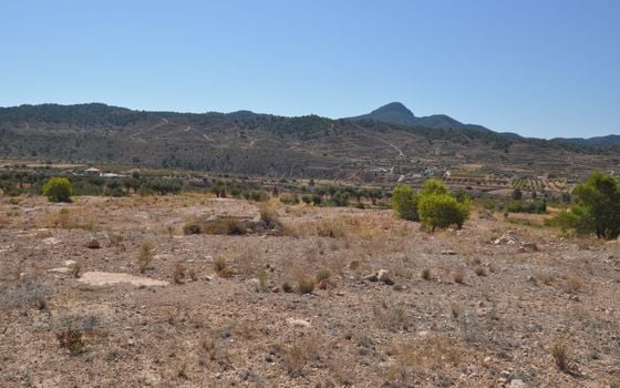 Terrain de  à Murcia- SIP150397 - Photo - Small - 9