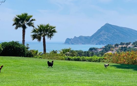 7 bedroom Villa in Altea - CGN46818 - Photo - Small - 23
