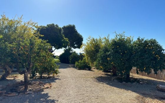7 bedroom Villa in Altea - CGN46818 - Photo - Small - 18