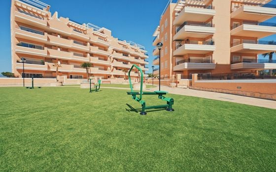 Appartement de 3 chambres à Guardamar del Segura - NS79067 - Photo - Small - 8
