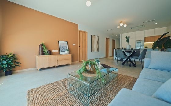 Appartement de 3 chambres à Guardamar del Segura - NS79067 - Photo - Small - 48