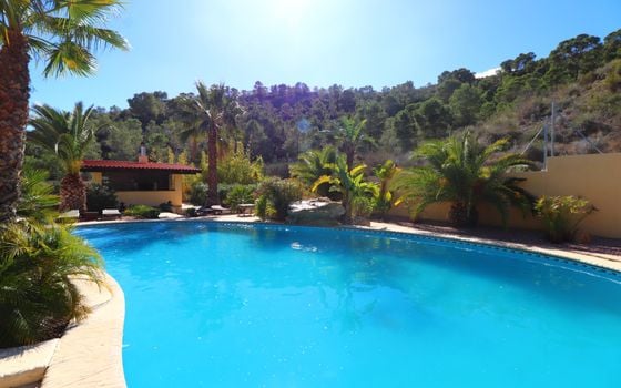 5 bedroom Villa in Aspe - VRE49594 - Photo - 2