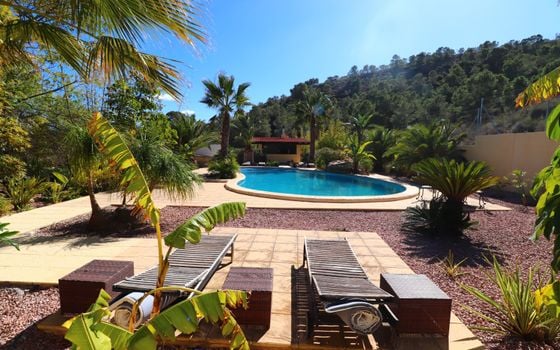 5 bedroom Villa in Aspe - VRE49594 - Photo - 3