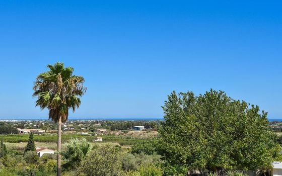 Villa de 5 chambres à Denia - TWTG81718 - Photo - Small - 41