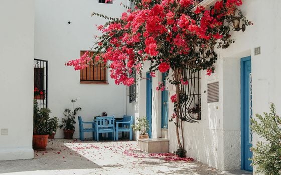 5 bedroom Villa in Altea - CGN49753 - Photo - Small - 25