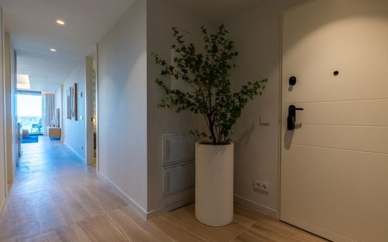 Appartement de 3 chambres à Guardamar del Segura - PM82169 - Photo - Small - 12