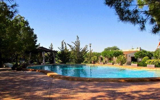 Villa de 3 chambres à Petrer - WI62461 - Photo - Small - 10