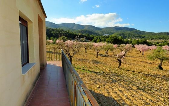 1 bedroom Villa in Castalla - WI62462 - Photo - Small - 9