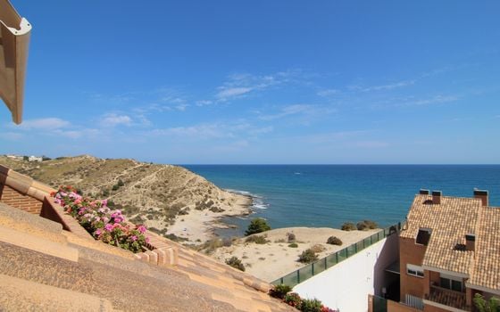 Villa de 9 chambres à Alicante - WI62465 - Photo - Small - 26