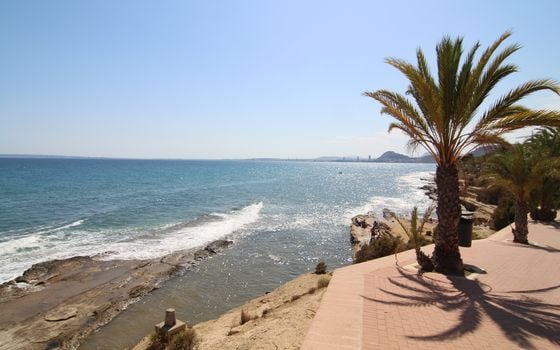 Villa de 9 chambres à Alicante - WI62465 - Photo - Small - 27