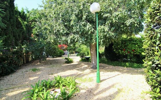 Villa de 5 chambres à San Juan de Alicante - WI62467 - Photo - Small - 20
