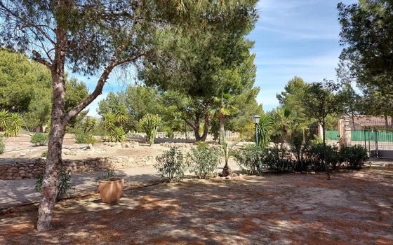 6 bedroom Villa in Totana - WI62470 - Photo - Small - 26