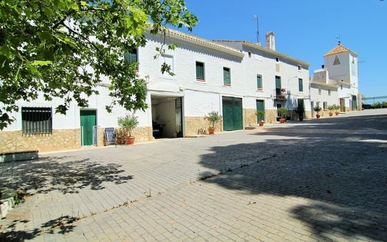 Villa de 26 chambres à Yecla - WI62475 - Photo - 2
