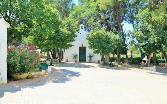 26 bedroom Villa in Yecla - WI62475 - Photo - Small - 10