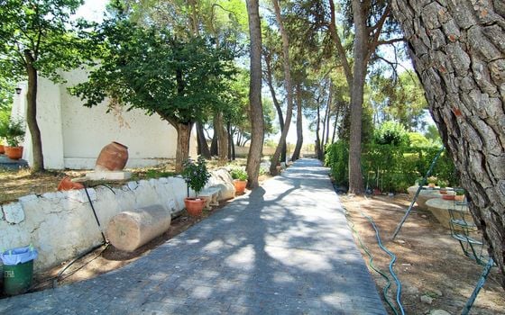 26 bedroom Villa in Yecla - WI62475 - Photo - Small - 11