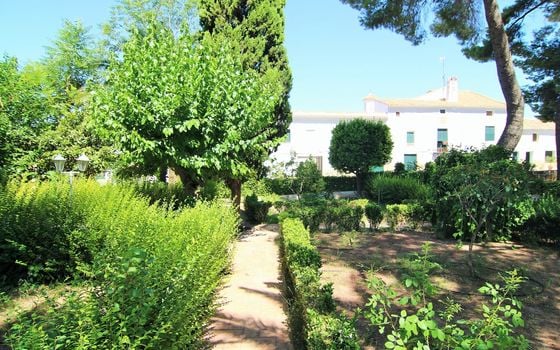 Villa de 26 chambres à Yecla - WI62475 - Photo - 1