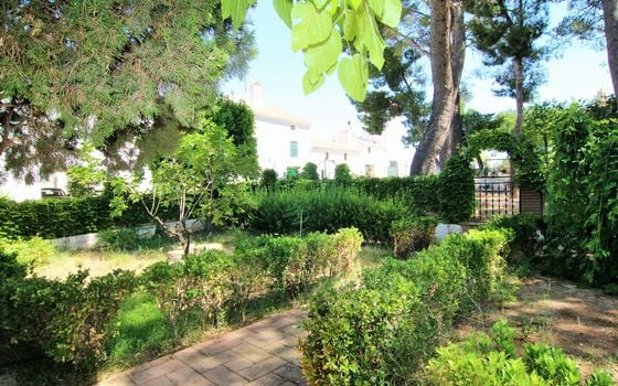 26 bedroom Villa in Yecla - WI62475 - Photo - Small - 13