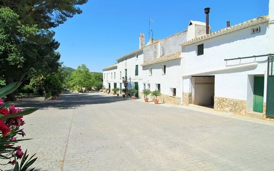 Villa de 26 chambres à Yecla - WI62475 - Photo - 3