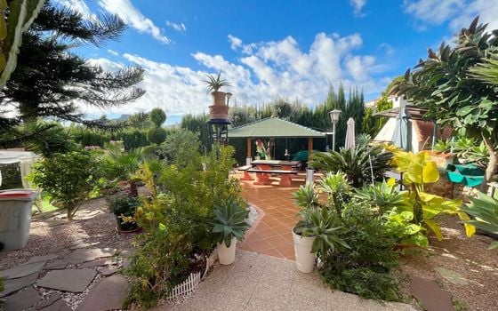 Villa de 4 chambres à Calp - WI62478 - Photo - Small - 24